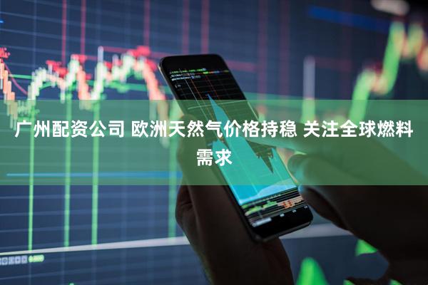 广州配资公司 欧洲天然气价格持稳 关注全球燃料需求