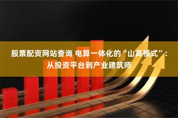 股票配资网站查询 电算一体化的“山高模式”：从投资平台到产业建筑师