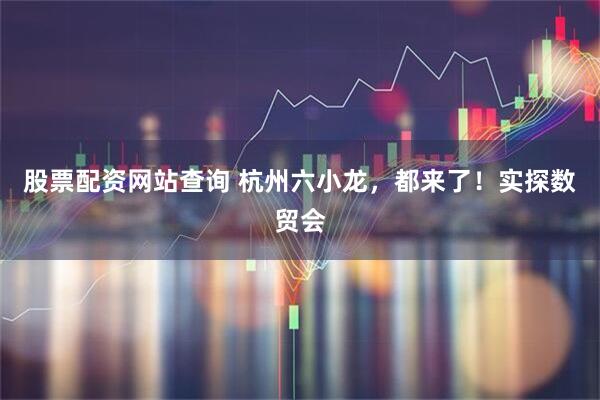 股票配资网站查询 杭州六小龙，都来了！实探数贸会