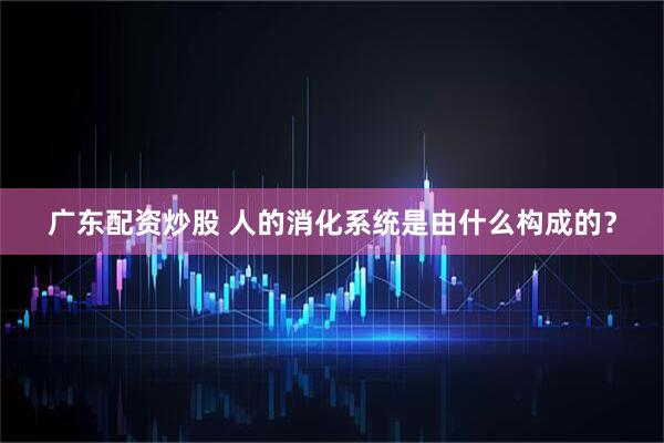 广东配资炒股 人的消化系统是由什么构成的？