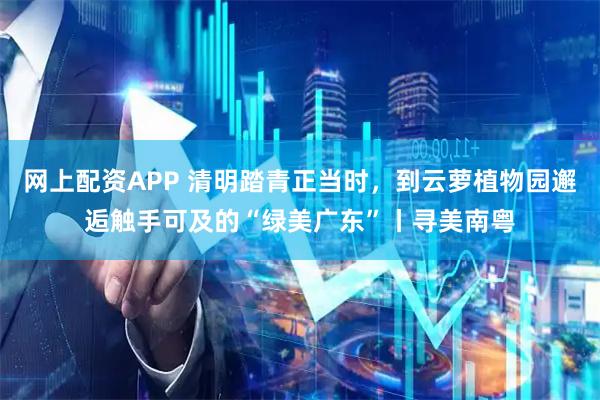 网上配资APP 清明踏青正当时，到云萝植物园邂逅触手可及的“绿美广东”丨寻美南粤