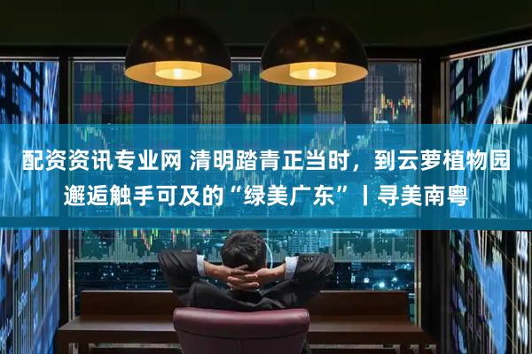 配资资讯专业网 清明踏青正当时，到云萝植物园邂逅触手可及的“绿美广东”丨寻美南粤